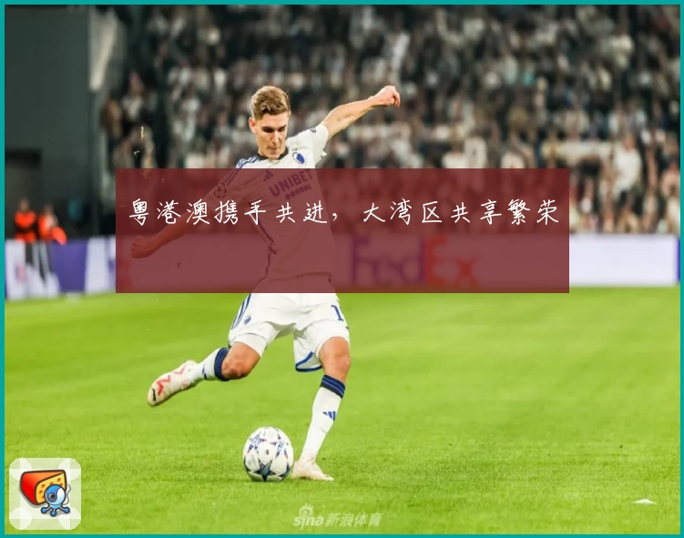 粤港澳携手共进，大湾区共享繁荣